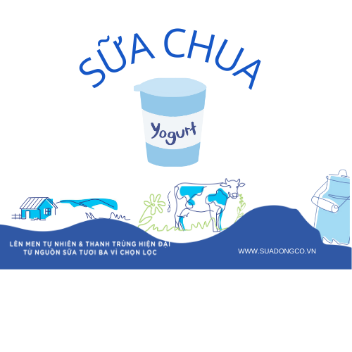 SỮA CHUA