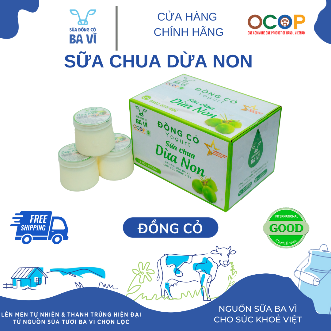 SỮA CHUA DỪA NON